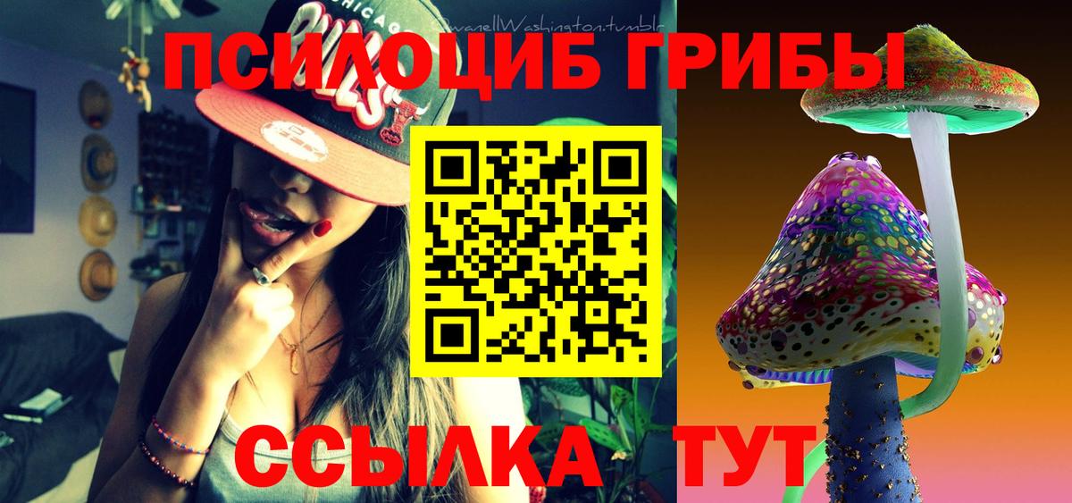 Новокубанск  купить наркоту  Вход с VPN  Галлюциногенные грибы Magic Shrooms 